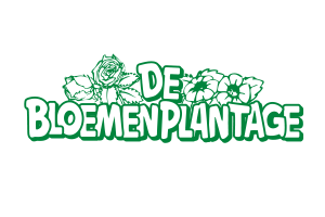 Bloemenplantage